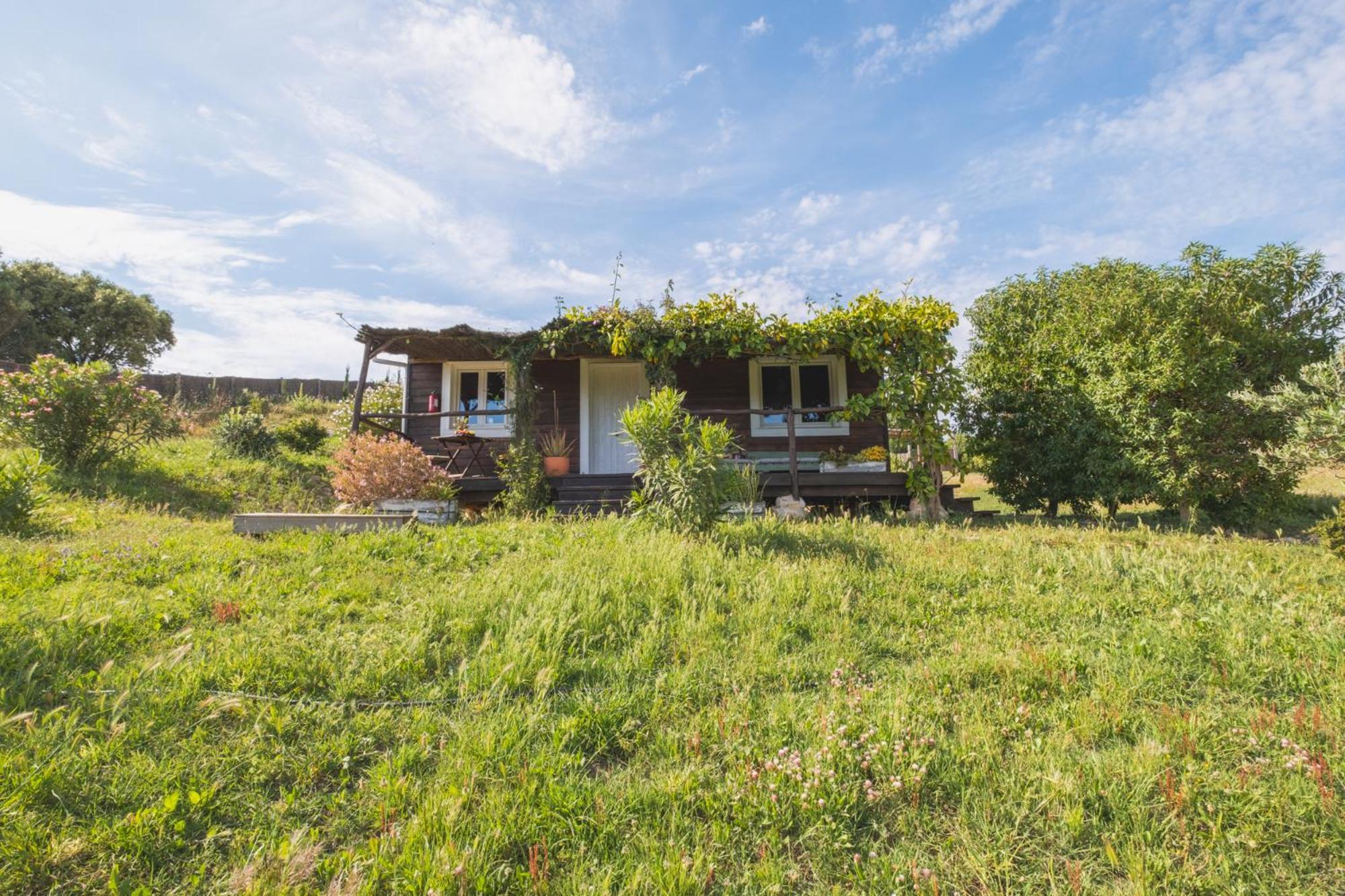 Ruralcamomo Villa Cádiz Exterior photo